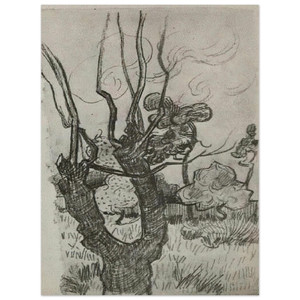 Vincent van Gogh  A Bare Treetop in the Garden of the Asylum Aluminum Print