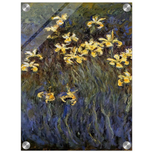 claude monet  The Yellow Irises Acrylic Print
