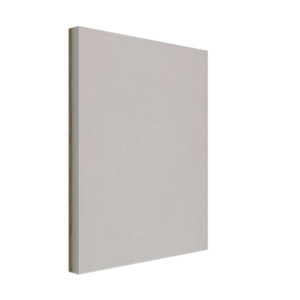 Robert Ryman  Record Canvas