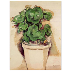Paul Cezanne  Pot of Geraniums Aluminum Print