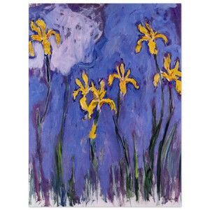 claude monet  Yellow Irises with Pink Cloud Aluminum Print