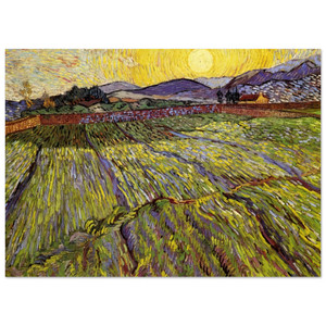Vincent van Gogh  Enclosed field with rising sun Fine Art Poster / Art Print