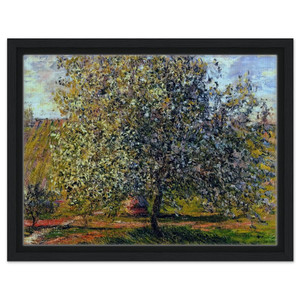 claude monet  Tree in Flower near Vetheuil Framed Canvas