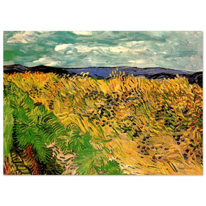 Vincent van Gogh  Wheat Field with Cornflowers Fine Art Poster / Art Print