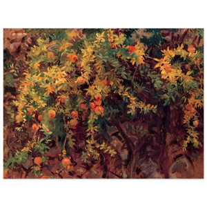 John Singer Sargent  Pomegranates Wood Print