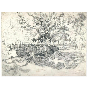 Vincent van Gogh  Garden of the Asylum Aluminum Print