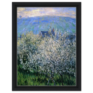 claude monet  Plums Blossom Framed Canvas