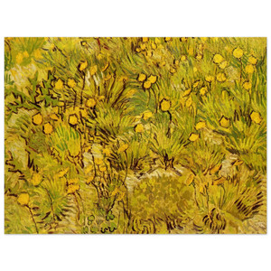 Vincent van Gogh  A Field of Yellow Flowers Wood Print
