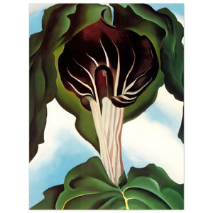 Georgia OKeeffe  JackinthePulpit III Aluminum Print