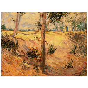 Vincent van Gogh  Trees in a Field on a Sunny Day Wood Print