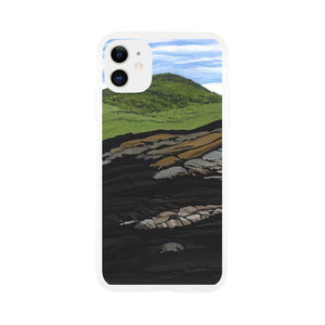 Neil Welliver - Blueberry Burn Moreys Hill - 1997 Clear case