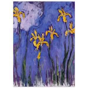 claude monet  Yellow Irises with Pink Cloud Fine Art Poster / Art Print
