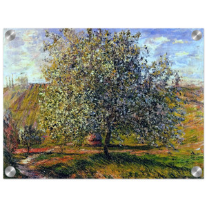 claude monet  Tree in Flower near Vetheuil Acrylic Print