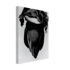 Georgia OKeeffe  Banana Flower Canvas