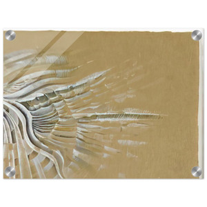 Lee Bontecou  UNTITLED 1982 N1 Acrylic Print