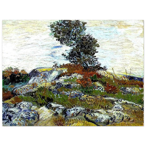 Vincent van Gogh  The Rocks with Oak tree Aluminum Print