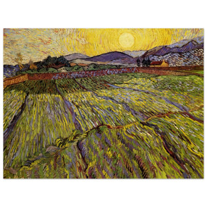Vincent van Gogh  Enclosed field with rising sun Wood Print