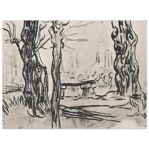 Van Gogh Garden Asylum, Tree Trunks, Stone Bench Aluminum Print