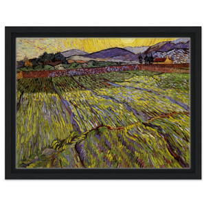 Vincent van Gogh  Enclosed field with rising sun Framed Canvas