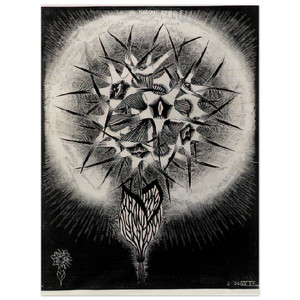 MC Escher  PRICKLY FLOWER Wood Print