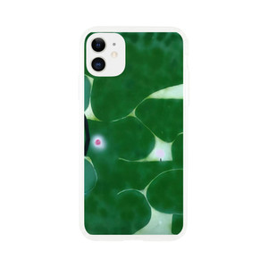 Victor Pasmore - THE GREEN EARTH 1980 Clear case