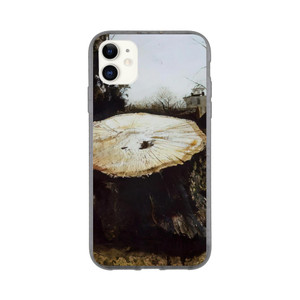 Andrew Wyeth - THE BIG OAK Bio case