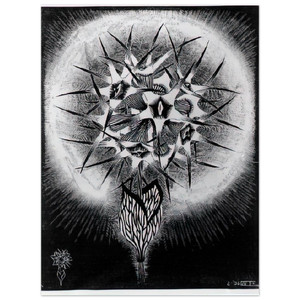 MC Escher  PRICKLY FLOWER Aluminum Print
