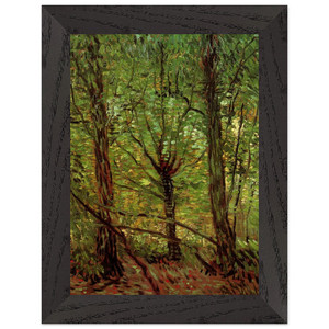 Vincent van Gogh  Trees and Undergrowth Premium Wooden Framed Art Print / Poster