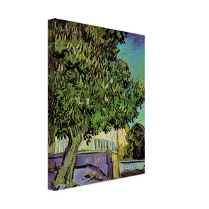 Vincent van Gogh  Chestnut Tree in Blossom Canvas