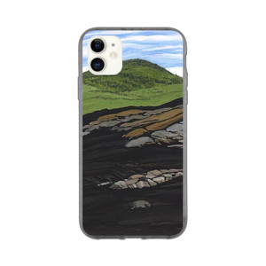 Neil Welliver - Blueberry Burn Moreys Hill - 1997 Bio case