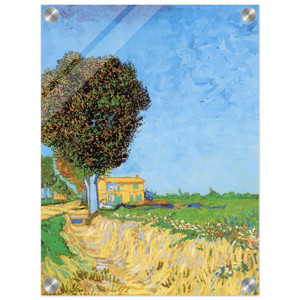 Vincent van Gogh  A Lane near Arles Acrylic Print