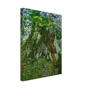 Neil Welliver  Stump  2000 Canvas