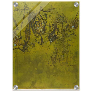 Hiroyuki Tajima  Popox  1964 Acrylic Print