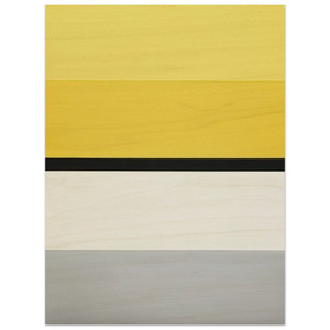 Ellsworth Kelly  Dominican Wood Print