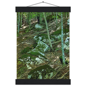 Neil Welliver Late Light Museum-Quality Matte Paper Poster with Hanger