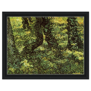 Vincent van Gogh  Trunks of Trees with Ivy Framed Canvas