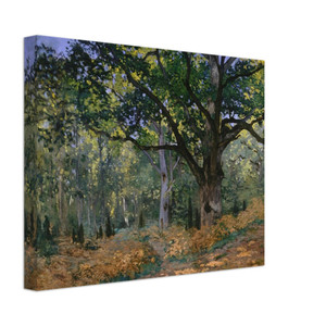 claude monet  The Bodmer Oak Fontainebleau Canvas