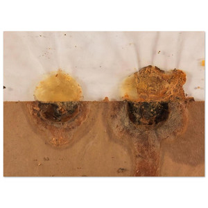 Dieter Roth  Small Landscape  1968 Fine Art Poster / Art Print