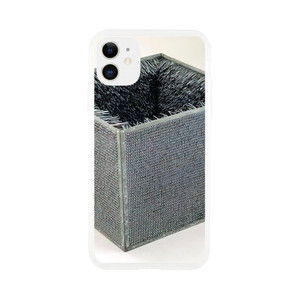 Eva Hesse - ACCESSION II 1968 Clear case