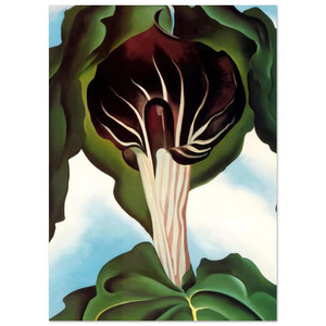 Georgia OKeeffe  JackinthePulpit III Fine Art Poster / Art Print