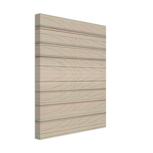 Nasreen Mohamedi  Untitled  1970 N17 Canvas