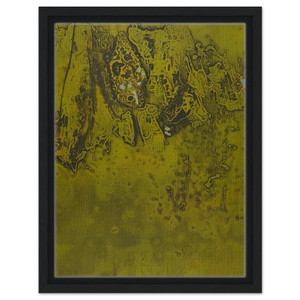 Hiroyuki Tajima  Popox  1964 Framed Canvas