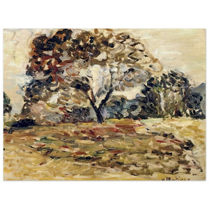 Henri Matisse  LANDSCAPE OF CORSICA 1898 Wood Print