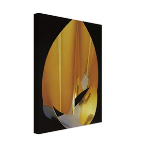 Max Bill  Area of a pentagon in space with plain circumference  1977 Canvas