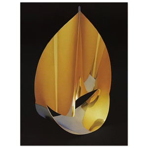 Max Bill Area of a pentagon in space with circumference 1977 Aluminum Print