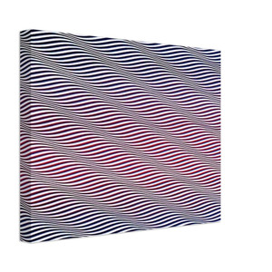 Bridget Riley  CATARACT 3 1967 Canvas