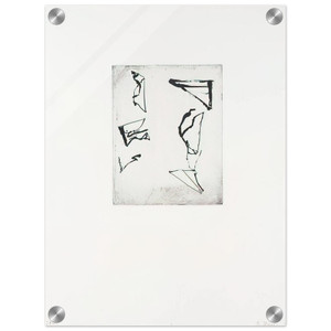 Brice Marden  Etchings to Rexroth 1  1986 Acrylic Print