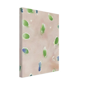 Sam Francis  SF48004 Canvas