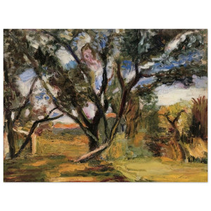 Henri Matisse  THE OLIVE TREE Wood Print