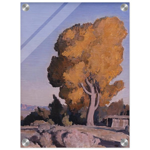Maynard Dixon  LOW COUNTRY COTTONWOOD 1940 Acrylic Print
